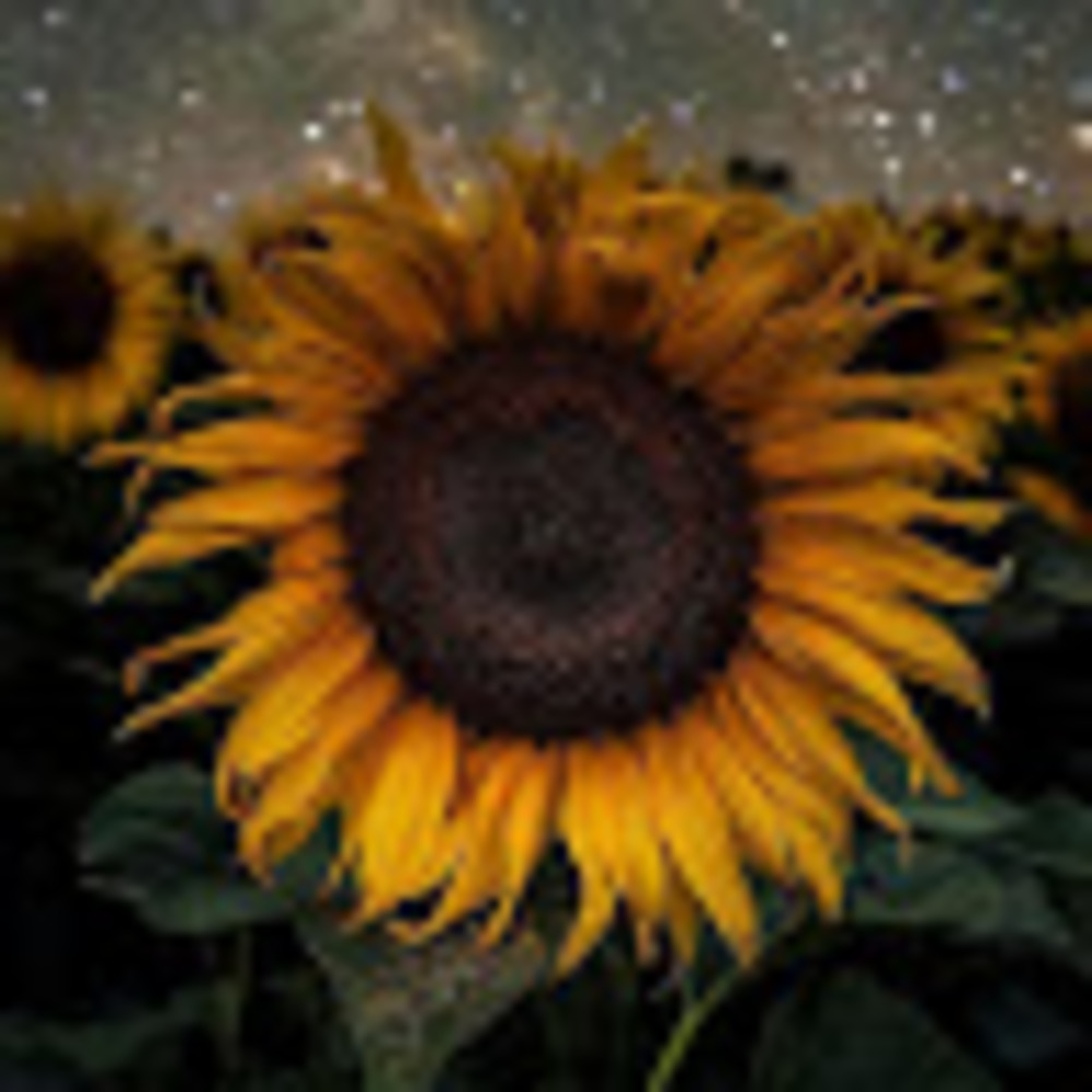 Meet your Posher, Hymnsonpiano